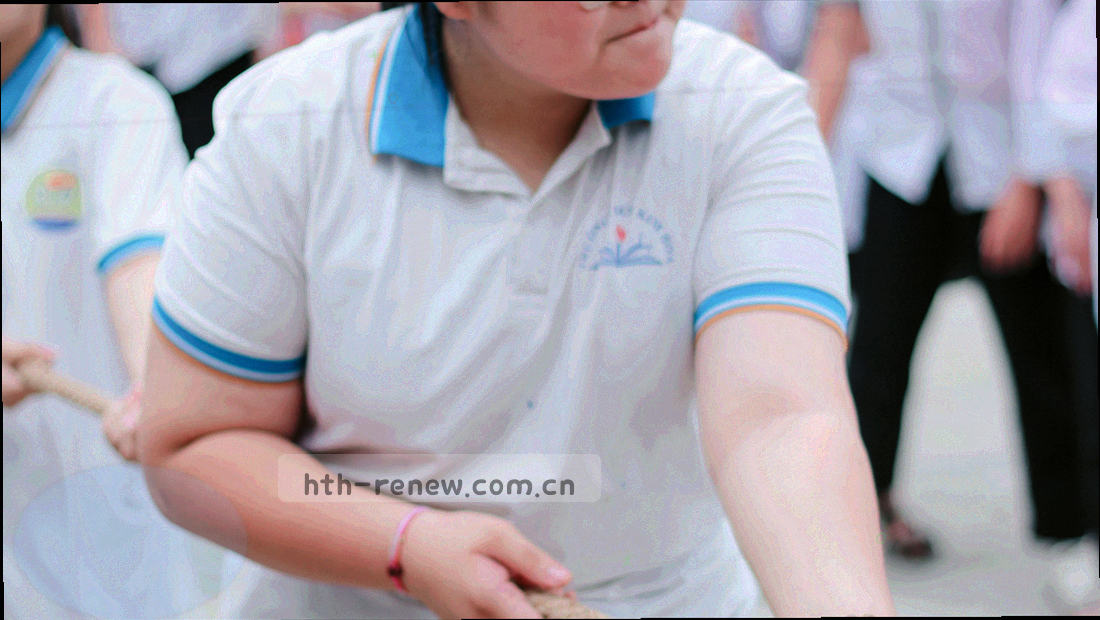 数据供应、内容分发、专题共建与无障碍适配四类合作的分类信息图